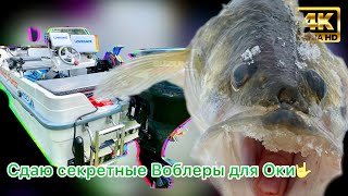 Тролллинг на Оке, я в шоке... Ловим судака, щуку и коряги!