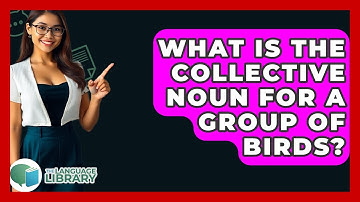 What Is The Collective Noun For A Group Of Birds? - The Language Library