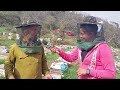 Beekeeping farming  apiculture  process of producing real natural honey  jammu