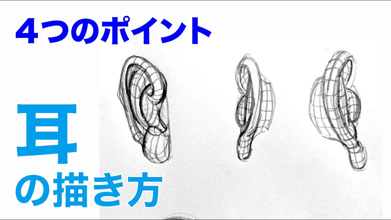 デッサン初心者 耳の描き方４つのポイント Youtube