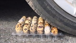 Crushing Crunchy & Soft Things by Car! - EXPERIMENT: Car Vs Eggs| Oh My God TV screenshot 4