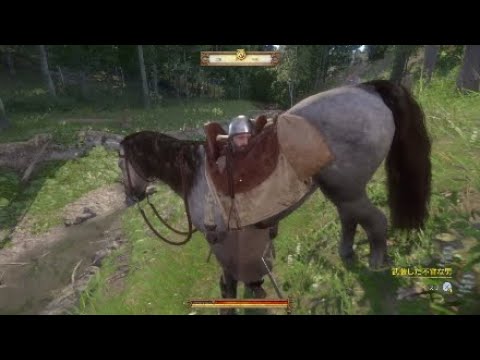 Kingdom Come Deliverance 12話 いきなり馬と融合すんなー Kingdomcomedeliverance キングダムカムデリバランス Youtube