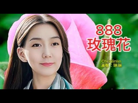 888 Roses 八百八十八朵玫瑰 - Chenlinlin 琳琳 #roseflower - YouTube