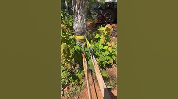 I’m done messing around!  Stump extraction incoming.  #physics #blockandtackle #snatchblock #pulley