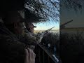 Wait for it... (Mexico Duck Hunt)