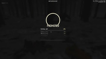 Hell Let Loose XP Bug