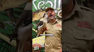 Scariest Bird Sounds Ever 😰