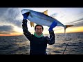 [Eng Sub] Fishing at Ghost of Tsushima, Kyushu | ตกปลาที่โลเคชั่นเกมเกาะสึชิมะ | SUGOI JAPAN | 342