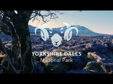 Vidéo: Parc national des Yorkshire Dales : le guide complet