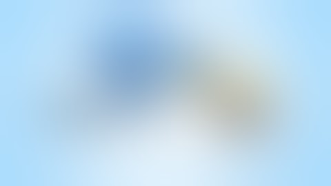 Instant Rewards Network Orientation Video Final