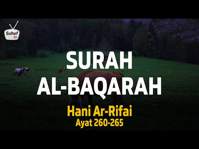 Surah 2 : Al Baqarah ( سورة البقرة ) ● Terjemahan ● Syeikh Hani Ar-Rifai ● ayat 260-265 class=