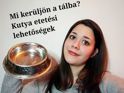 Videó: Kiskutya Etetési ütemterv Készítése