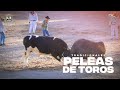 #Arequipa || Desfile por aniversario del distrito de Cerro Colorado