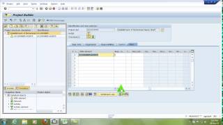 Creation of Project and WBS in CJ20N