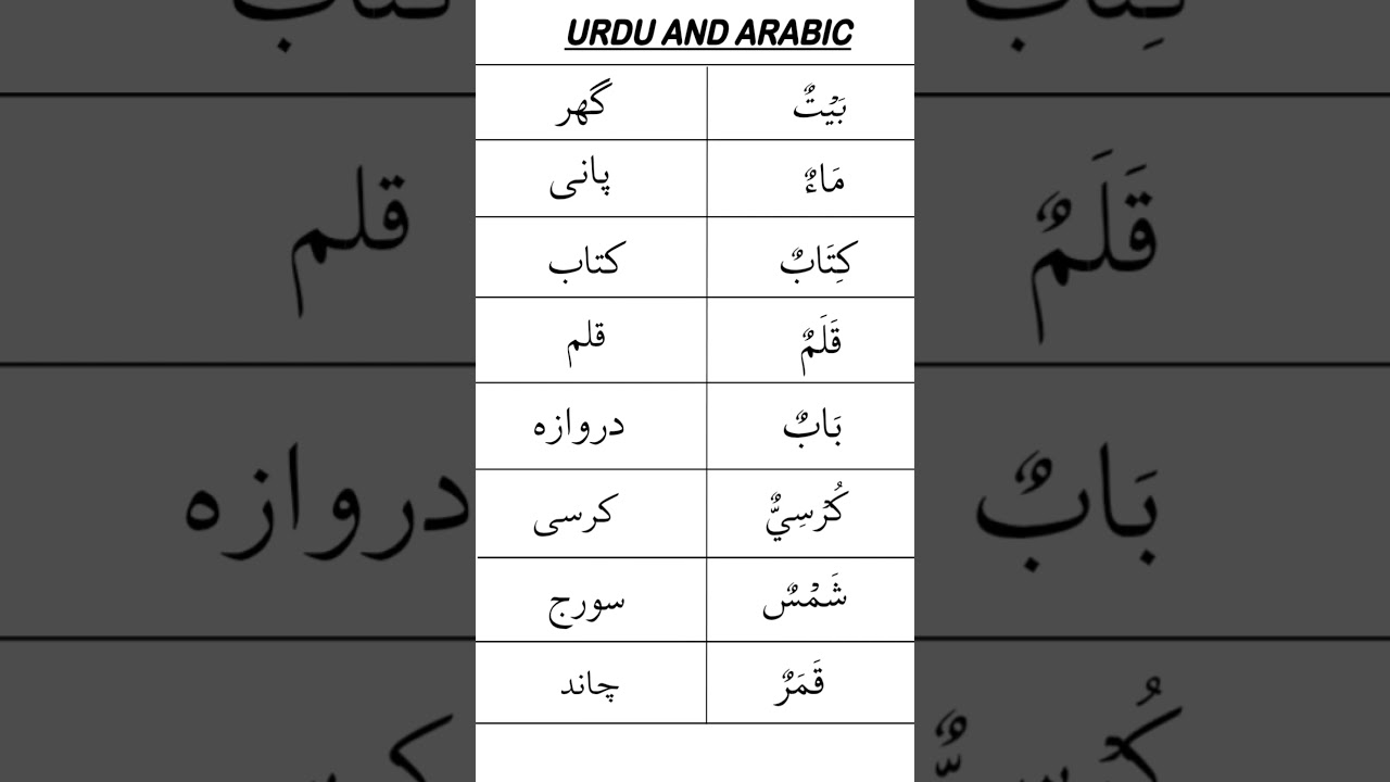 arabic and urdu#house#door#sun#moon#books#chair#water#arabic#english#urdu#vocabulary#for#beginners