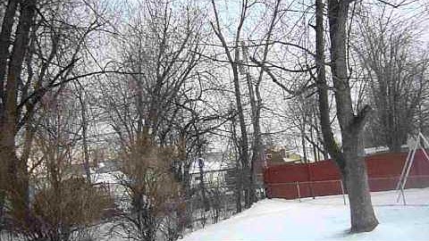 Blade MCP-x servo centering issue (bad bobble/shakes)