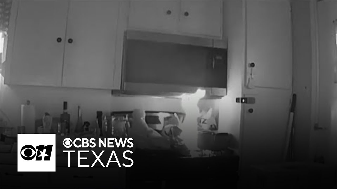 Cat causes Garland house fire