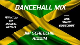 JIM SCREECHIE RIDDIM MIX FT AIDONIA/SPICE/T.O.K/RDX & MORE..
