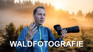 Der HEILIGE GRAL in der WALDFOTOGRAFIE