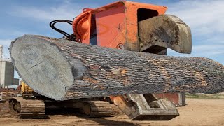 Extreme Dangerous Biggest Stump Cutter Destroy Equipment, Fastest Stump Grinding Removal Excavator