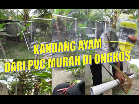 KANDANG AYAM DARI PIPA PARALON/CHICKEN COOP FROM PVC