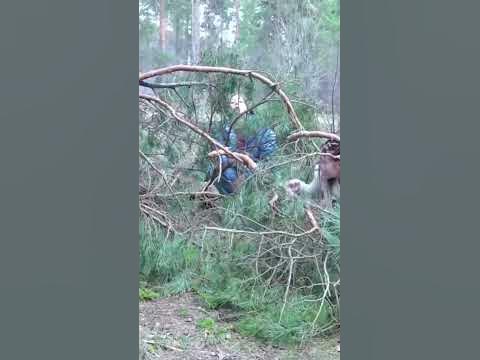 Маскировка - YouTube