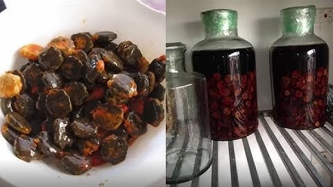 Nhanh trí ngâm hạt gấc với rượu tự cứu mình khỏi 4 bệnh kinh niên - Nhịp Sống Khỏe