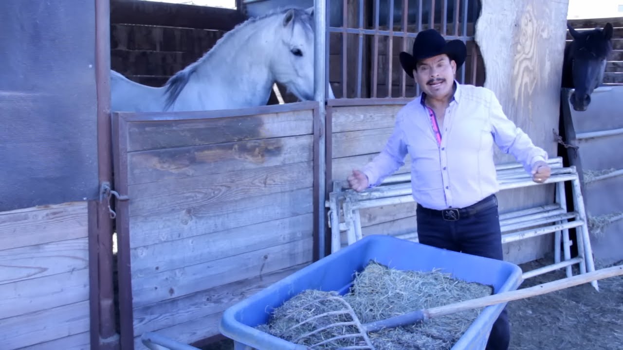 Javier Torres de Los Rehenes - Le Compre La Muerte A Mi Hijo [Video Oficial]