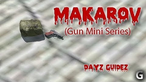 DayZ MOD - Makarov