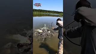 GOD-LIKE AIM! 🎯 One Arrow, Instant Catch #shorts #fish #fishing #trending #amazing #viralvideo