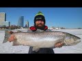 ICE Fishing Giant Brown Trout (MILWAUKEE)