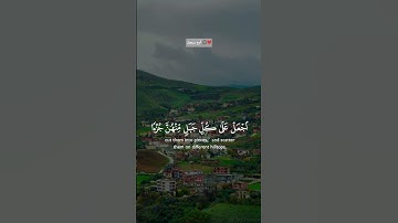 القرآن الكريم أرح سمعك 🎧😌 #اكسبلور #القرآن_الكريم #لايك #المصحف #quran #دويتو #foryou