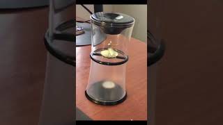 Coin Spin Bank ||The piggy bank that spins the coins #shorts