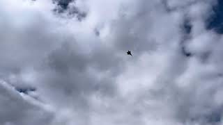 Freewing F-22 Maiden Flight by Brad Darnell 122 views 1 month ago 3 minutes, 34 seconds