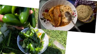 Chiles rellenos. Recién cortados de mi huerta