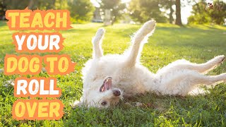Master the Art of Teaching Your Dog to Roll Over with Ease! by Keeping Pet 62 views 10 months ago 5 minutes, 10 seconds