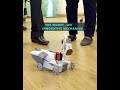 A Crawling Robot from Lesics Engineers