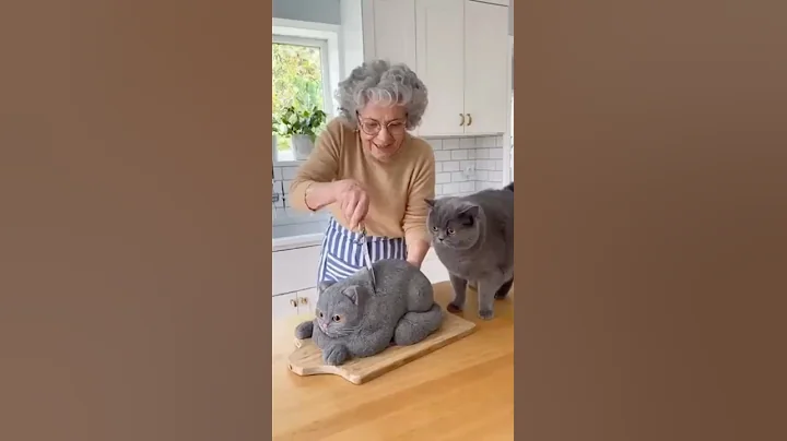 Watch the video about Grandma Tricked her CAT With A CAT Cake #britishshorthair #funny #catcake #funnycats #viralcats