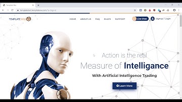 HYIP Templates For Gold Coders - Template TR013