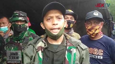 PENGGEREBEKAN LOKASI ILEGAL LOGGING BERLANGSUNG DRAMATIS