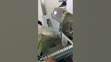 New Single Row Dumpling Machine Shipped to India SoonTrue Dumpling Making Machine 3000Pcs Per Hour