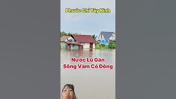 cảnh những căn nhà giữa đám ruộng mùa nước nổi hồ Dầu Tiếng tiếp tục xả nước
