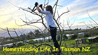 Supplementing Our Bought Food By Homesteading In New Zealand