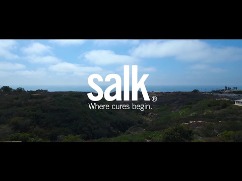 salk institute san diego louis vuitton｜TikTok Search