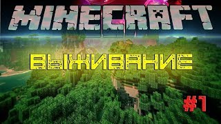 выживание Minecraft №1