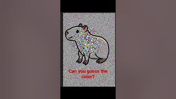 Capybara Can you guess the color? #guessthecolor #weekend #memes #digitalart #procreate #capybara