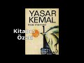 Yaşar Kemal- İnce Memed/Kitap Özeti-Kişi Tahlili-Yazar Hakkında Bilgi