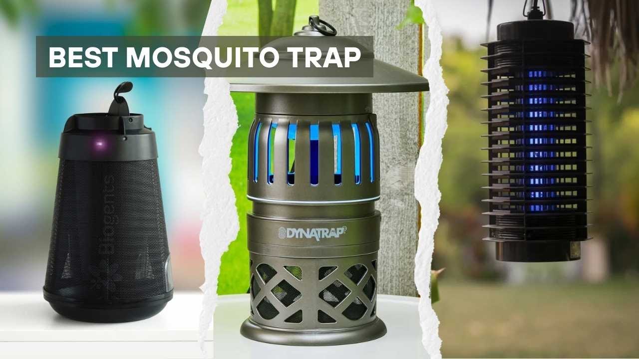 7 Best Mosquito Trap 2026! Battle of the Bug Zappers - YouTube