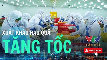 Bứt phá xuất khẩu nông sản – tín hiệu sáng từ miền Tây  | VTV CẦN THƠ