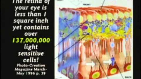 3 of 8 More reasons why evolution is stupid http://www.drdino.com